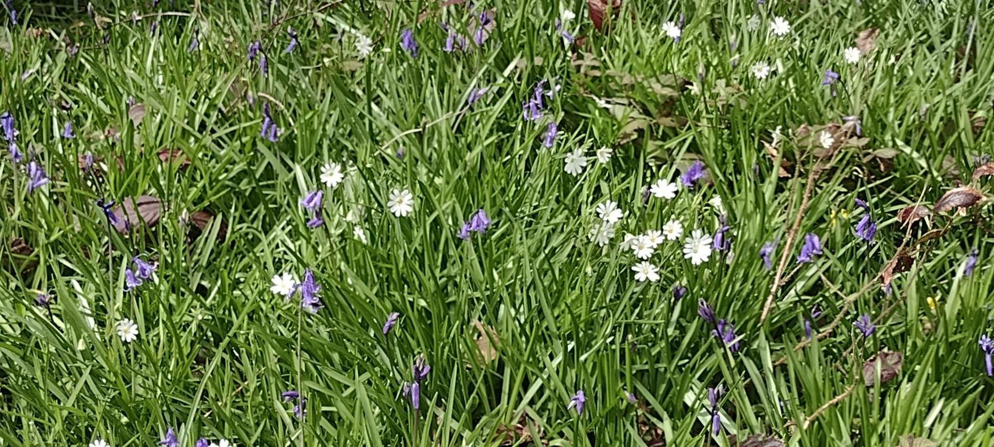 Samphire Cottage Helston Esterno foto